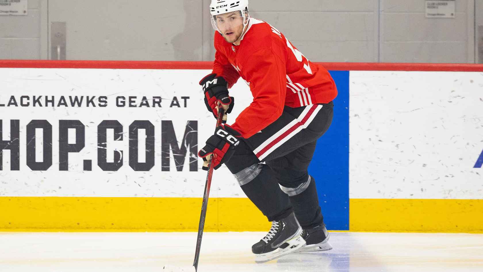 Rockford Icehogs Icehogs Update Training Camp Roster Marcel Out