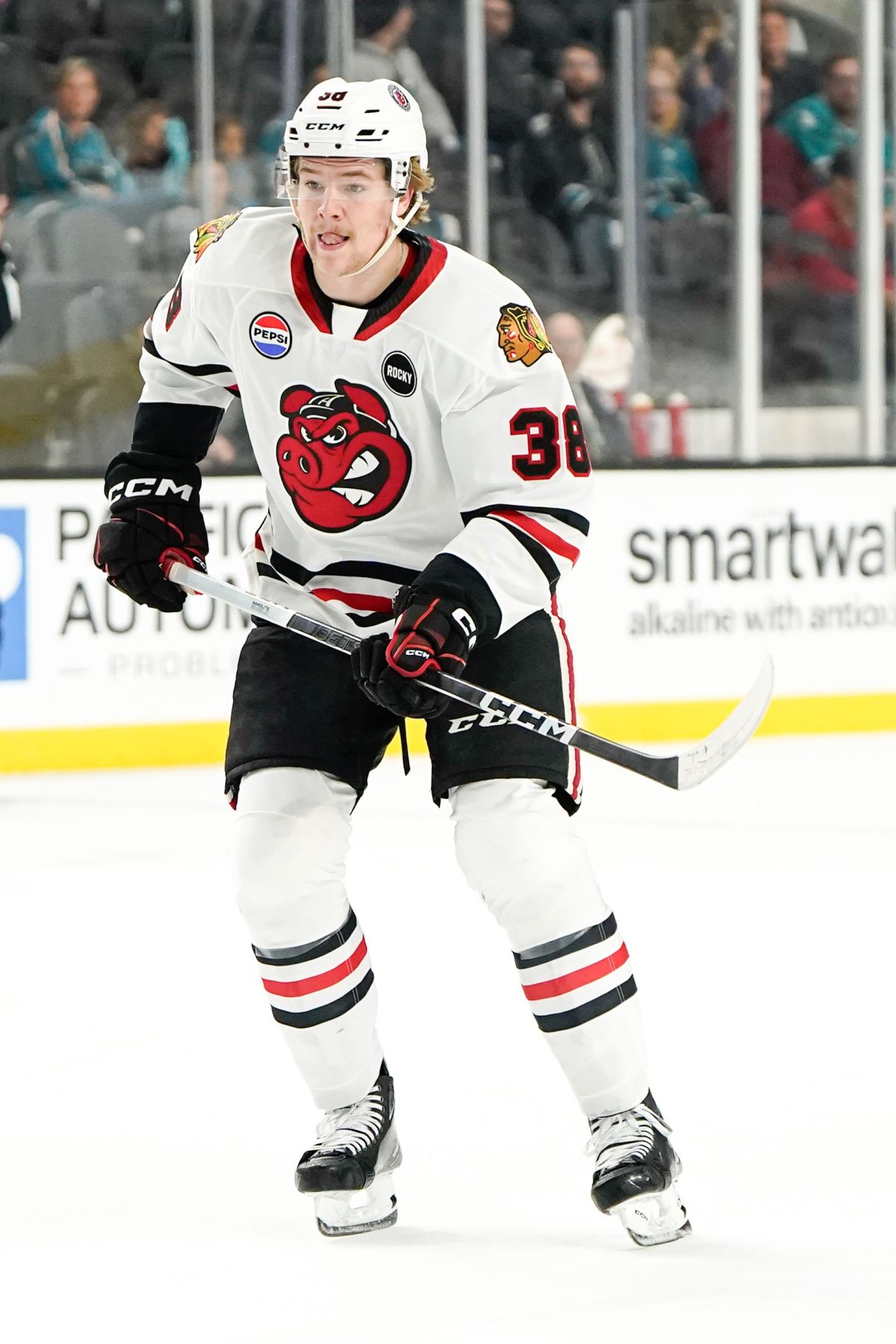 Rockford IceHogs | Season Preview: Latest Wave Of Prospects Feed…