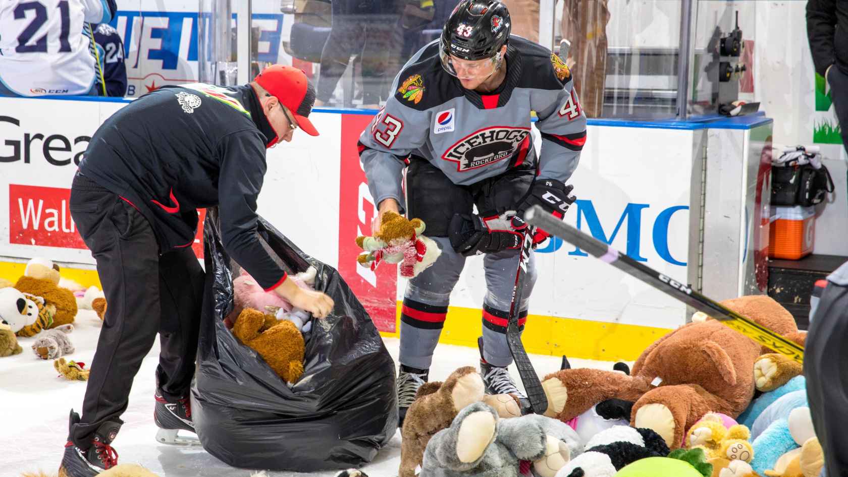 Rockford IceHogs | IceHogs Host Annual Teddy Bear Toss And Night Of…