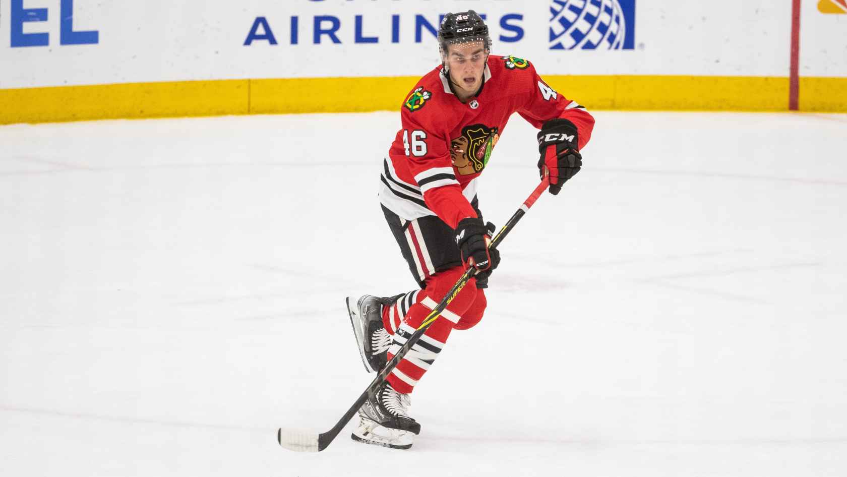 Rockford IceHogs | IceHogs See First Dozen Players Assigned To…