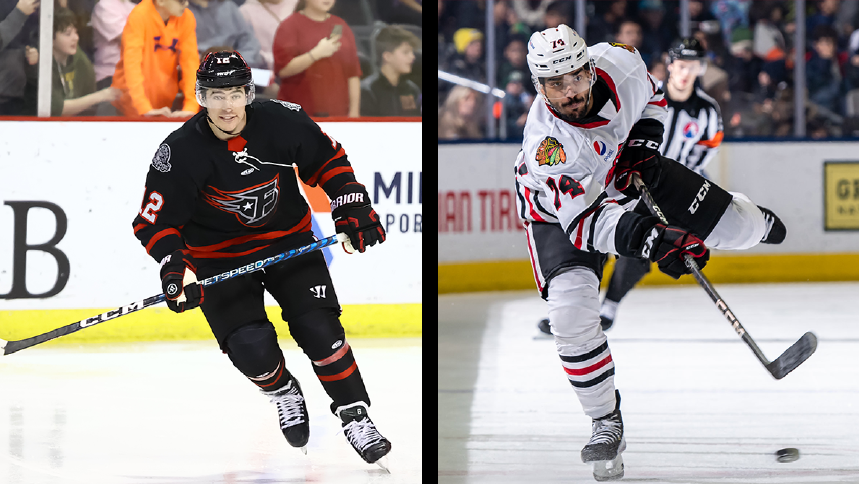 Rockford IceHogs | Hogs Return Bilek, Wilson on Loan to Indy